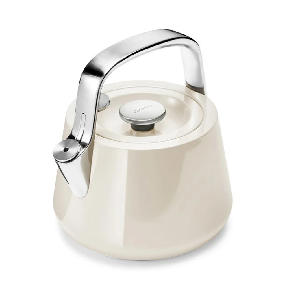 Stainless Steel Tea Kettle