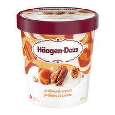 Haagen-Dazs - Pralines & Cream Ice Cream, 450 Millilitre