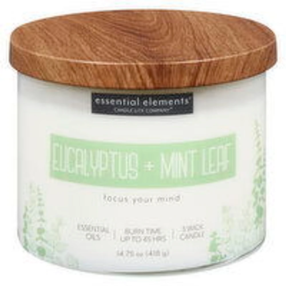 Candle-Lite - Candle it Eucalyptus & Mint Leaf Jr 14., 418 Gram