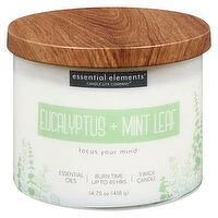 Candle-Lite - Candle it Eucalyptus & Mint Leaf Jr 14., 418 Gram