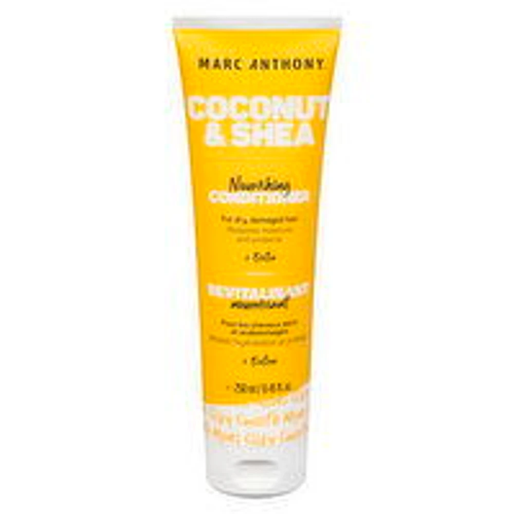 MARC ANTHONY - Coconut Oil & Shea Butter Conditioner, 250 Millilitre