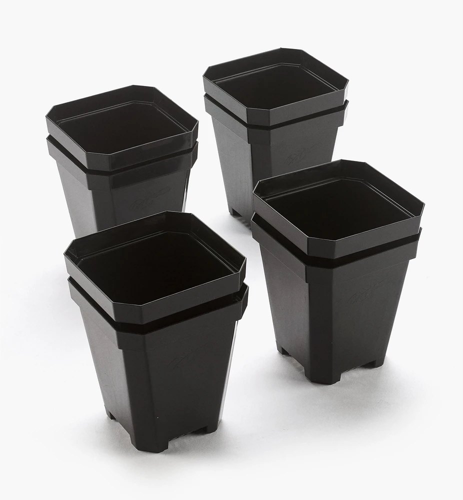 5" Pots