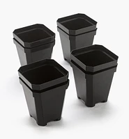 5" Pots