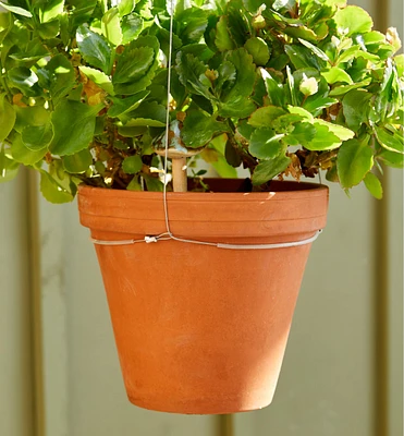 Support ajustable en acier inoxydable pour plante