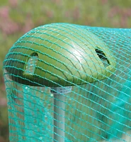 Staking Domes