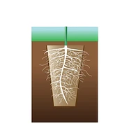 Fiber Pots