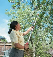 Telescoping Long-Arm Pruner
