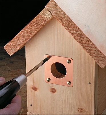 Birdhouse Portal Protectors