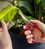 Set of 2 Mini Garden Shears