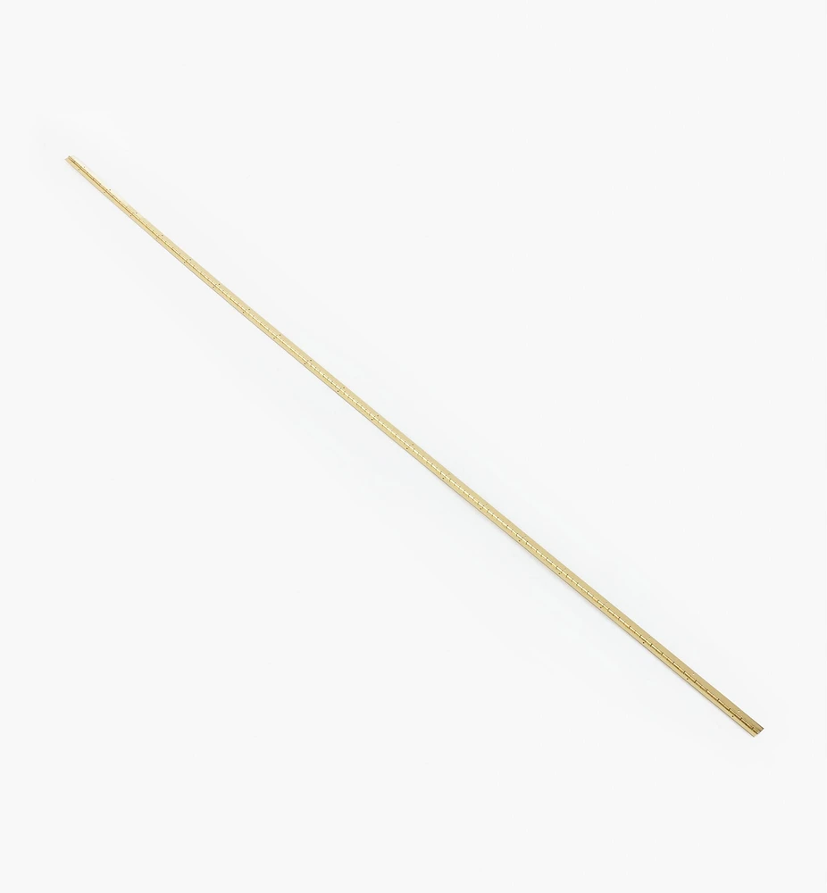 Pin-Hole Piano Hinges