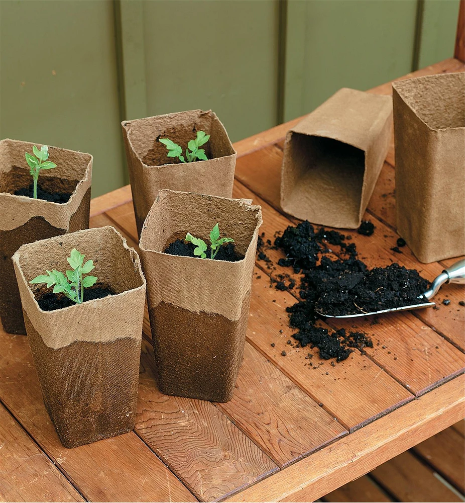 Fiber Pots