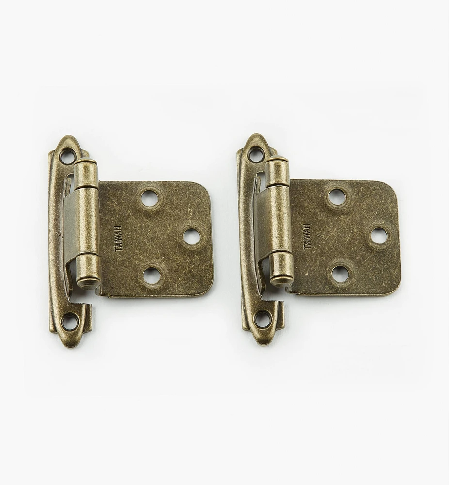 Charnières en acier pour porte à recouvrement