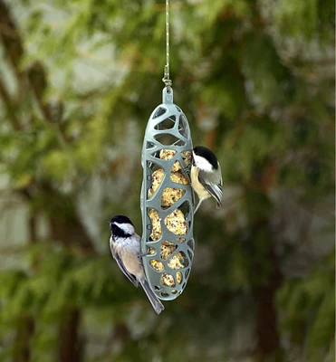 Mangeoire à suif pour oiseaux