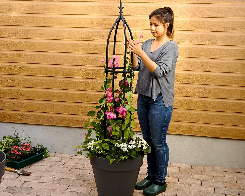 Obélisques de jardin