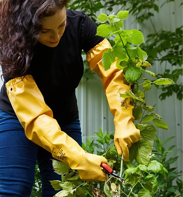 Gants d'élagage