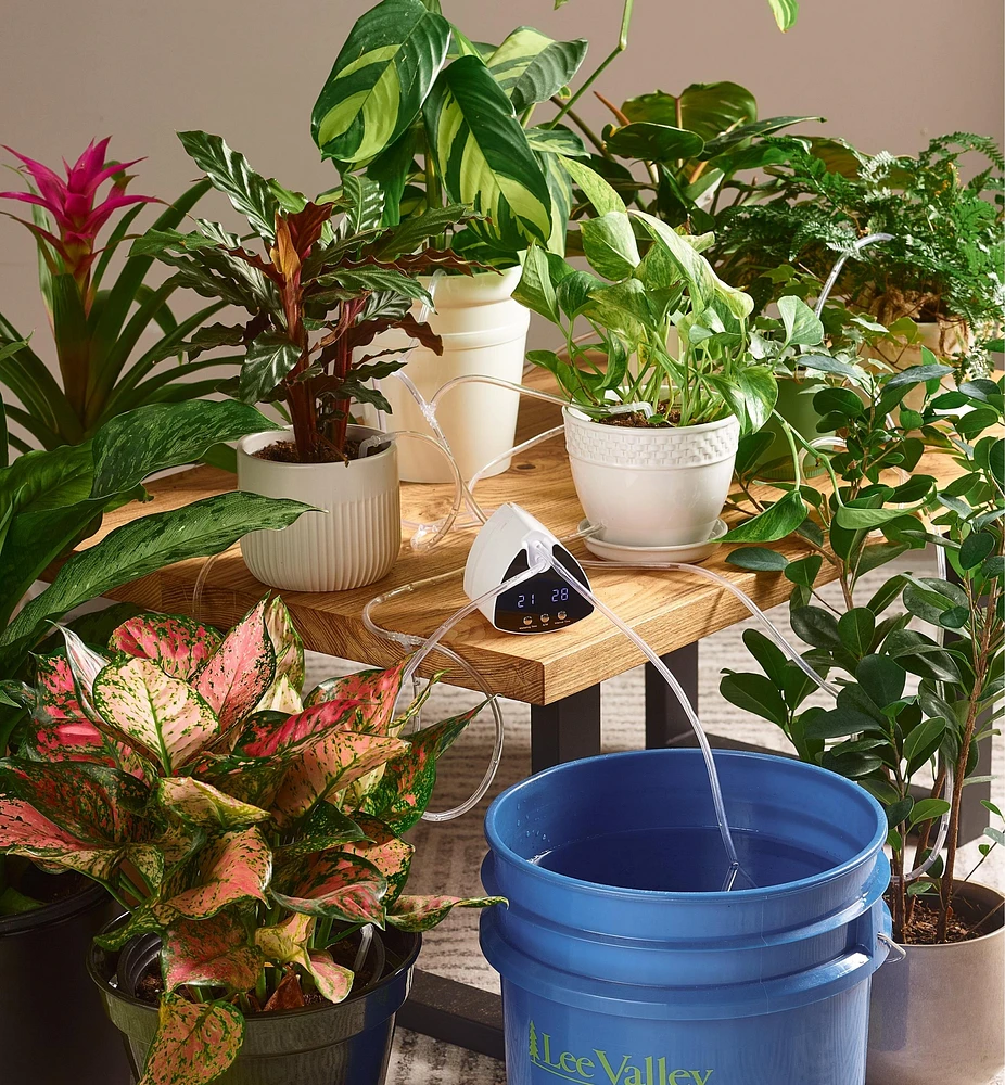 Indoor Watering System