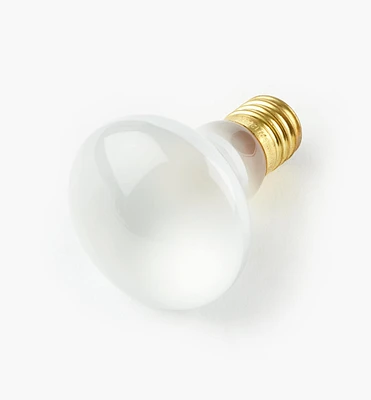 Ampoule de remplacement de 40 W pour petits luminaires encastrés orientables