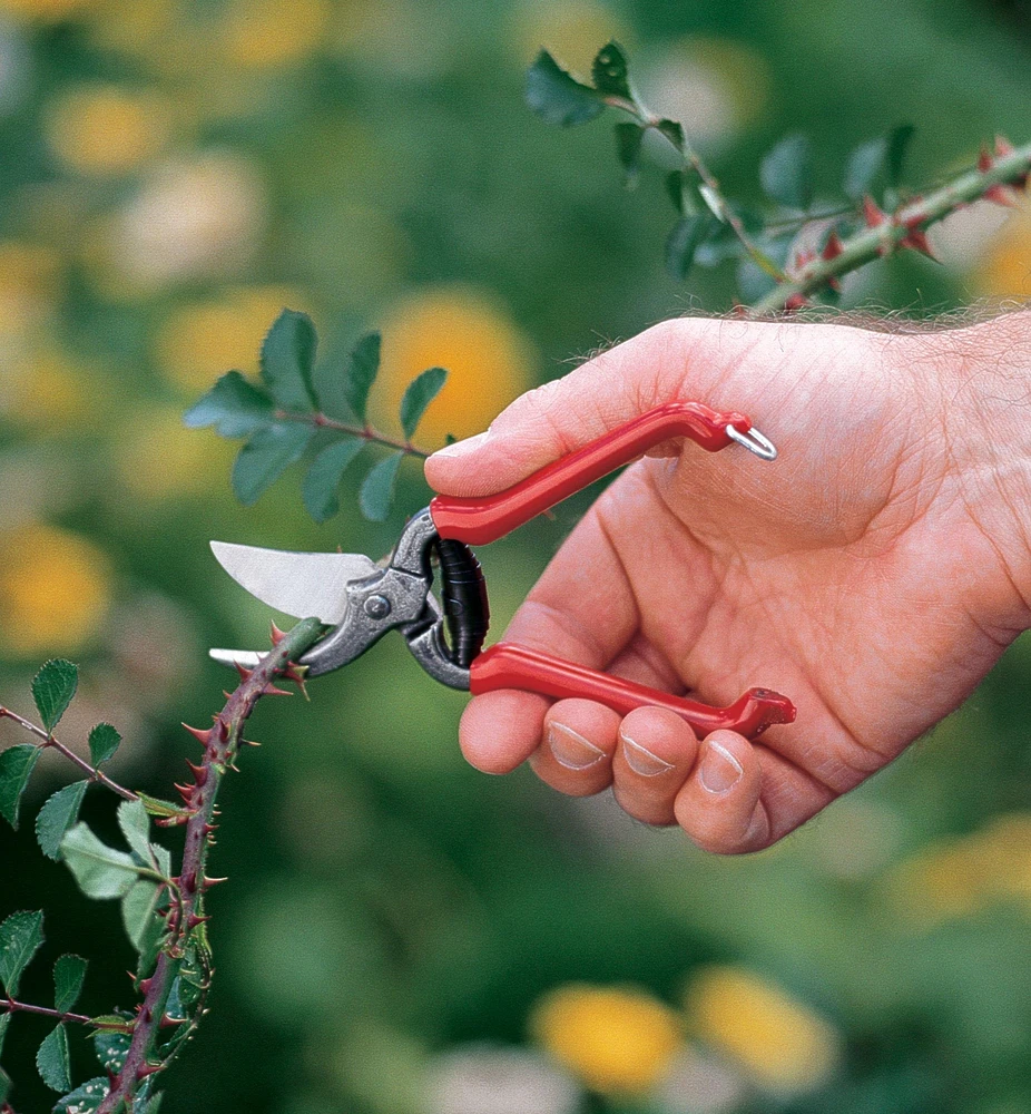 Forged Pocket Pruner