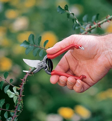 Forged Pocket Pruner