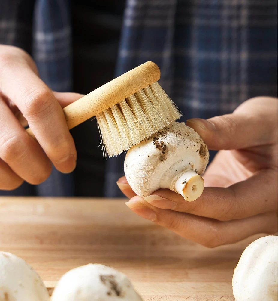 Mushroom Brush