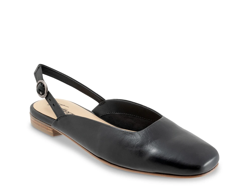 Holly Mule