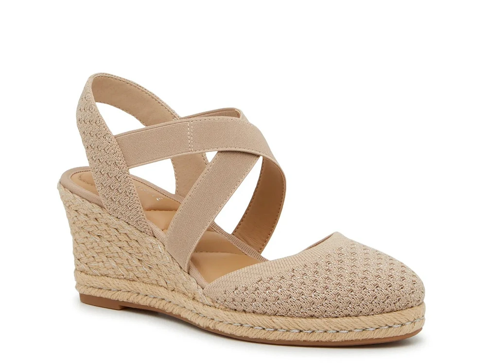 Kenedy Wedge Pump