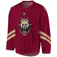 Youth Maroon Albany FireWolves Sublimated Replica Jersey