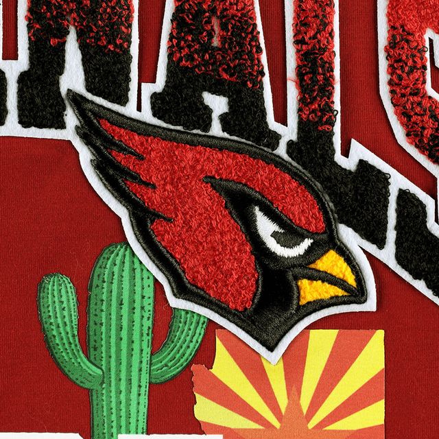 T-shirt Pro Standard Cardinal Arizona Cardinals Hometown Collection pour hommes