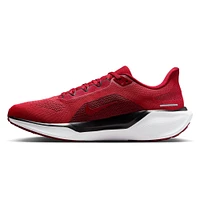 Unisex Nike Red Arizona Cardinals Zoom Pegasus 41 Running Shoes
