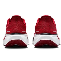 Unisex Nike Red Arizona Cardinals Zoom Pegasus 41 Running Shoes