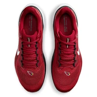Unisex Nike Red Arizona Cardinals Zoom Pegasus 41 Running Shoes