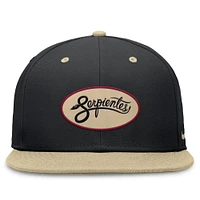 Men's Nike Black/Gold Arizona Diamondbacks City Connect True Fitted Hat