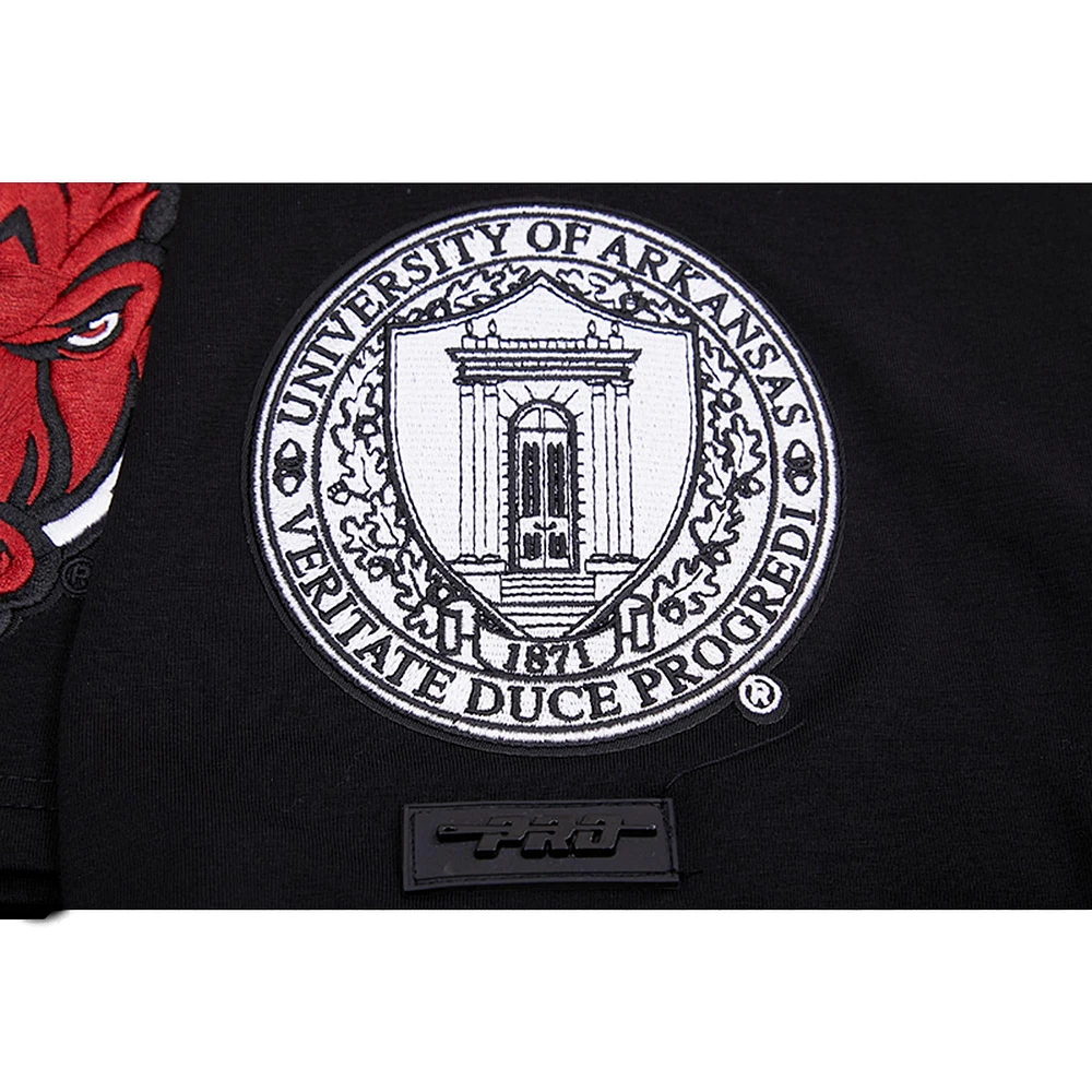 Men's Pro Standard Black Arkansas Razorbacks Classic Stacked Logo T-Shirt