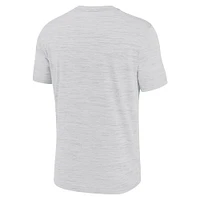 Men's Nike Ash Atlanta Braves Authentic Collection City Connect Velocity Performance T-Shirt