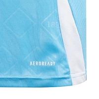 Youth adidas  Blue Belgium National Team 2024 Away Replica Jersey