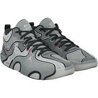 Jayson Tatum Boston Celtics Game-Used Gray Jordan Shoes vs. Los Angeles Lakers on January 23, 2025
