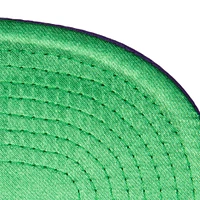Men's Mitchell & Ness Purple Charlotte Hornets Sweet Suede Snapback Hat