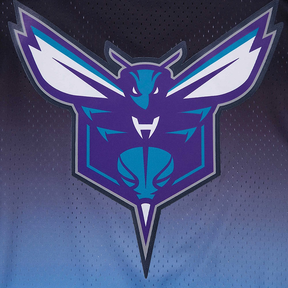 Men's Post LaMelo Ball Navy/Blue Charlotte Hornets Ombre Name & Number T-Shirt