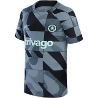 Youth Nike Gray Chelsea 2023/24 Academy Pro Performance Pre-Match Top