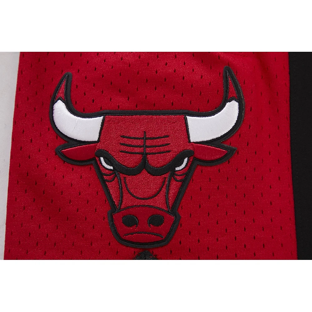 Men's Pro Standard Black Chicago Bulls 2023/24 City Edition DK Shorts