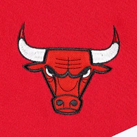 Men's Tommy Jeans Red Chicago Bulls Bernard Half-Zip Hoodie