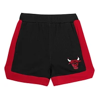 Preschool Chicago Bulls Mesh Tank Top and Shorts Set