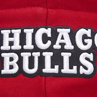 Women's Pro Standard Red Chicago Bulls Script Tail Cropped Pullover Hoodie