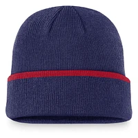 Men's Nike Royal Chicago Cubs Terra Cuffed Knit Hat