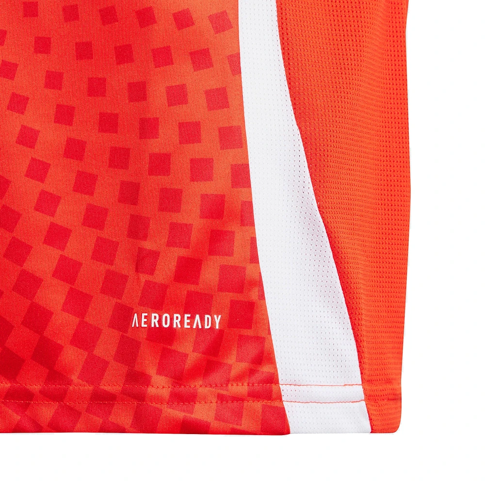 Youth adidas  Red Chile National Team 2024 Home Replica Jersey