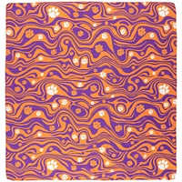 ZooZatz Clemson Tigers Hair Scarf