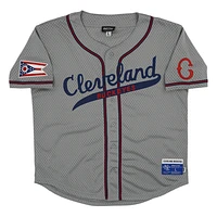Men's Rings & Crwns #10 Gray Cleveland Buckeyes Mesh Button-Down Replica Jersey