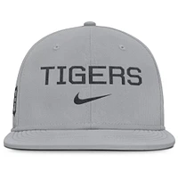 Men's Nike Gray Detroit Tigers True Performance Fitted Hat