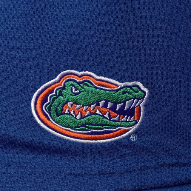 Short texturé grande et taille des Royal Florida Gators pour hommes