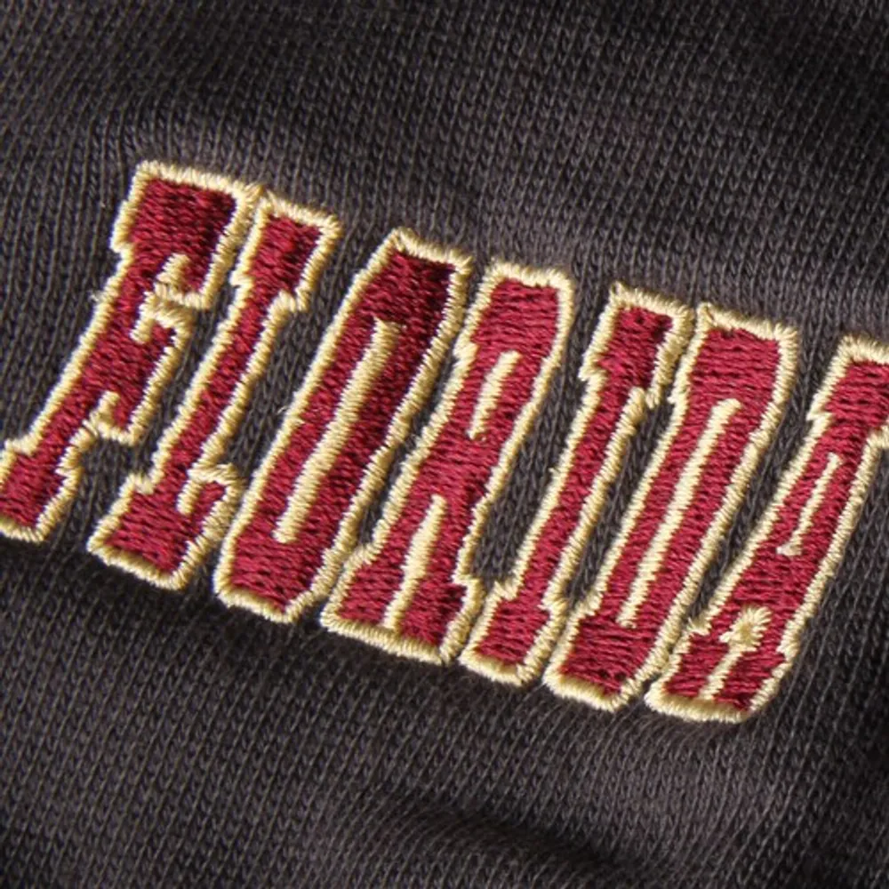 Youth Stadium Athletic Charcoal Florida State Seminoles Big Logo Sweat à capuche épais